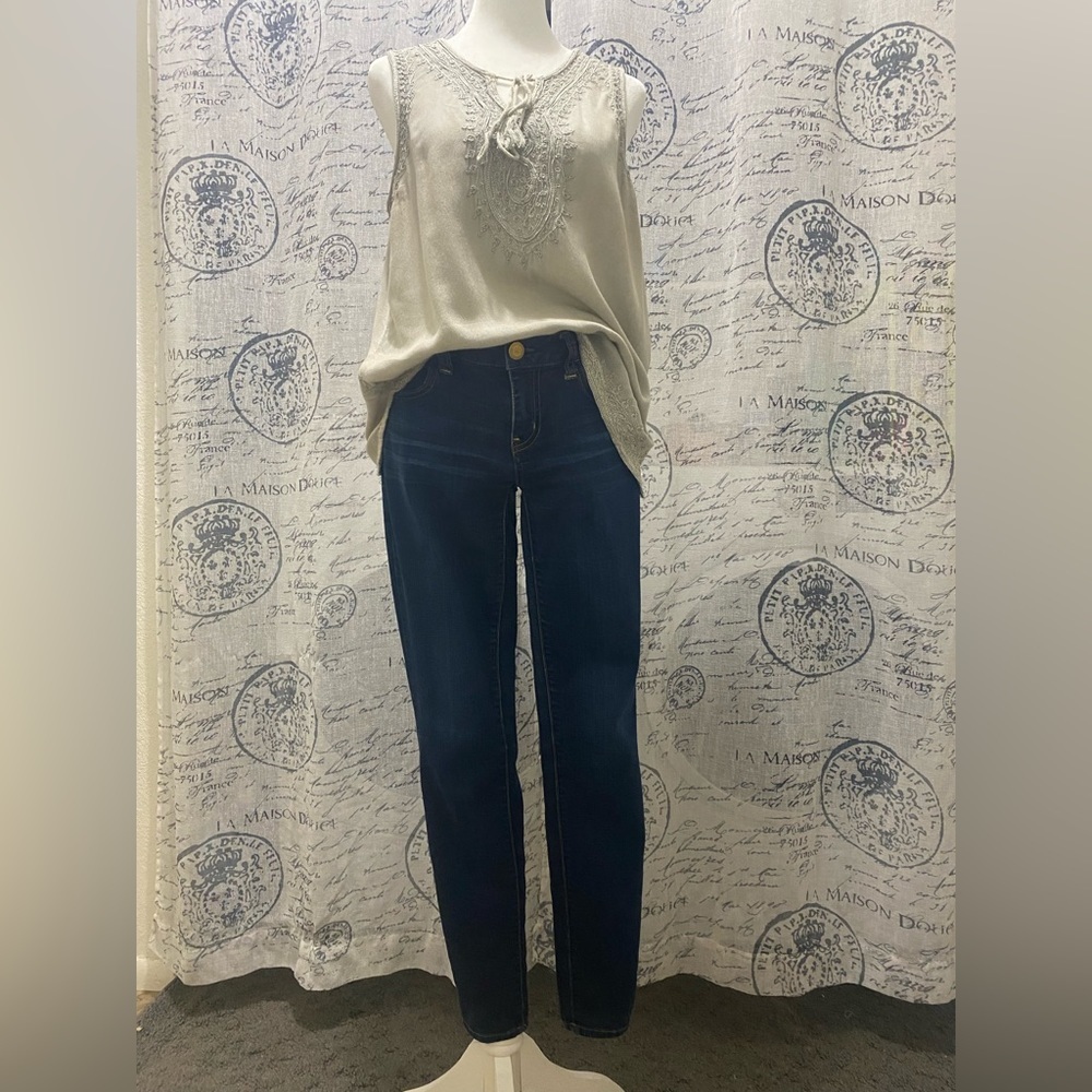AMERICAN EAGLE | Dark Wash Skinny Jeans